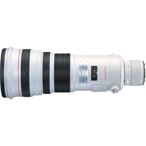 Best Canon Lens for Bird Photography - Buyer's Guide 2