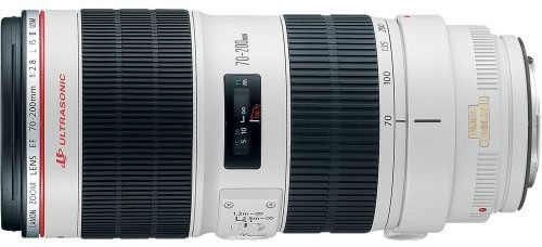 Best Canon Lens for Sports Photography