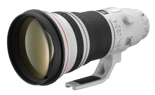Best Canon Lens for Sports Photography
