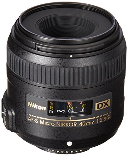 Best Lenses for Nikon D3400