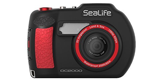 Best Cameras For Underwater Phot