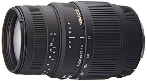 Best Lenses For Nikon D3200