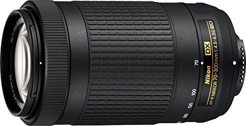 Best Lenses For Nikon D5600