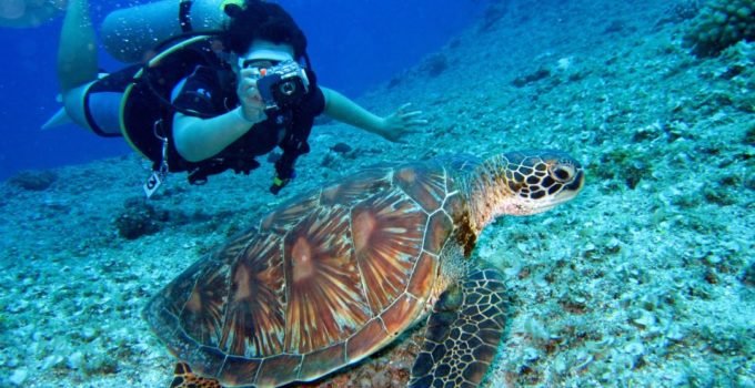 Best Cameras for Underwater Photography