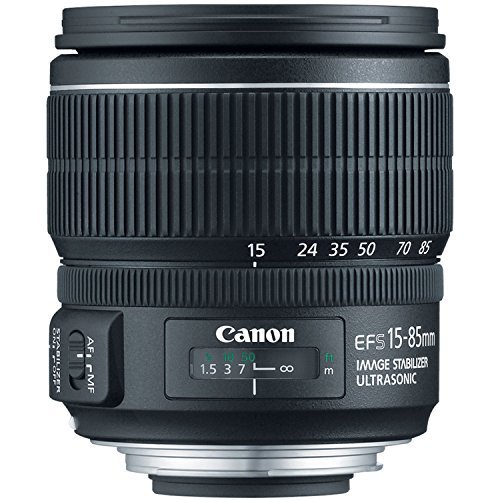 Best Canon Lens for Landscape Photography