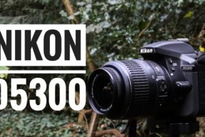 Best Lenses for Nikon D5300