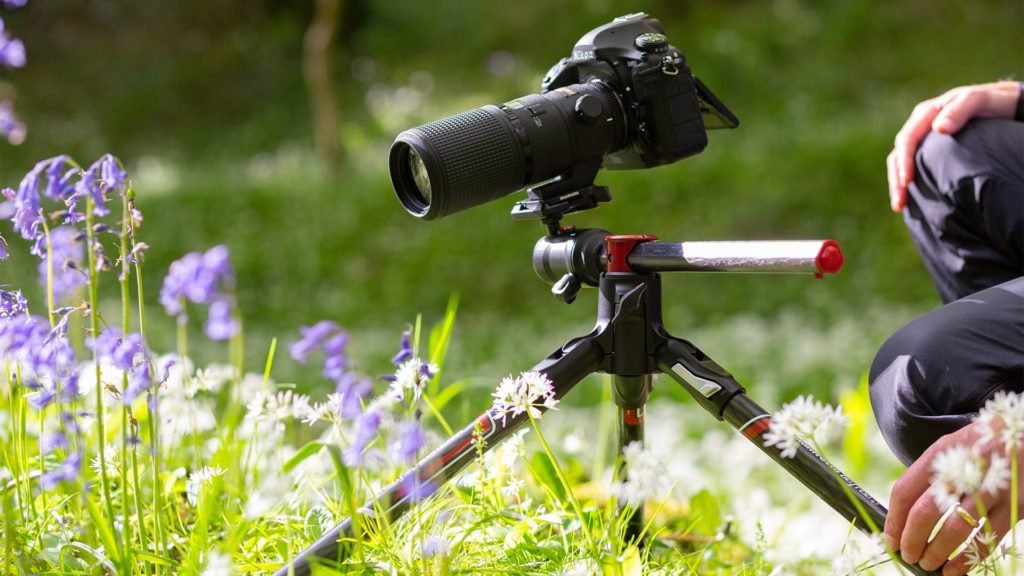 Best Tripods for Macro Photography