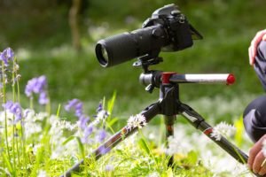 Best Tripods for Macro Photography