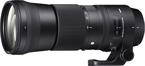 Best Lenses for Nikon D5300