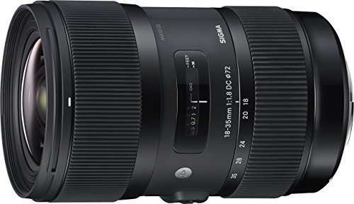 Best Lenses for Nikon D5300