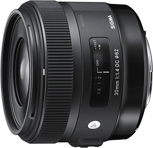 Best Lenses for Nikon D5300