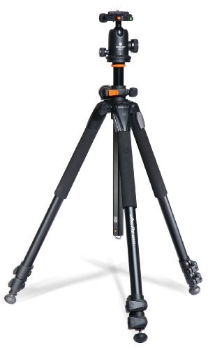 Best Tripods for Macro Photography