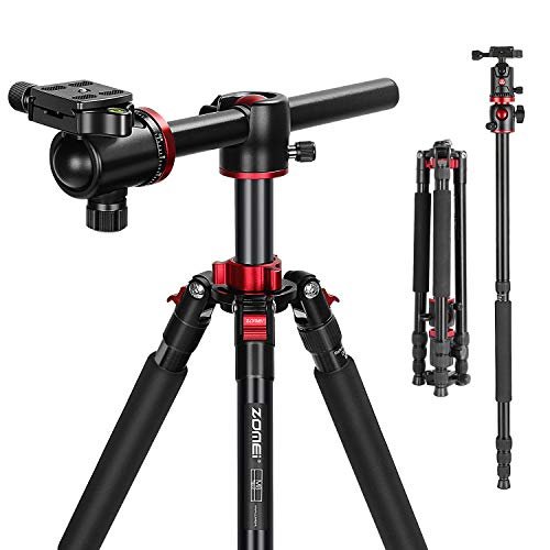 Best Tripods for Macro Photography [2025 updated] Camerakool