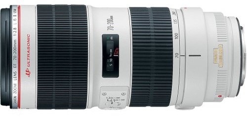 Best Canon Lens for Architectural Photography