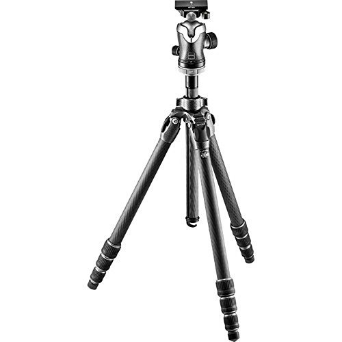 Best Tripods for Wildlife Photography