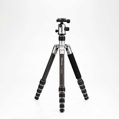 Best Tripods for Wildlife Photography