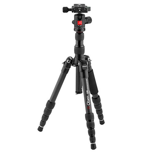 Best Tripods for Wildlife Photography