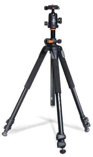 Best Tripods for Wildlife Photography