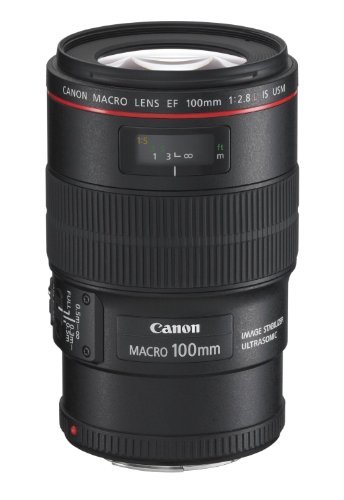 Best Lenses for Canon 200d