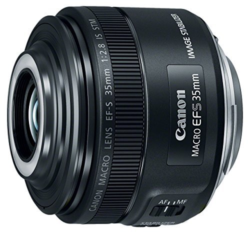 Best Lenses for Canon 200d