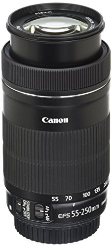 Best Lenses for Canon 200d