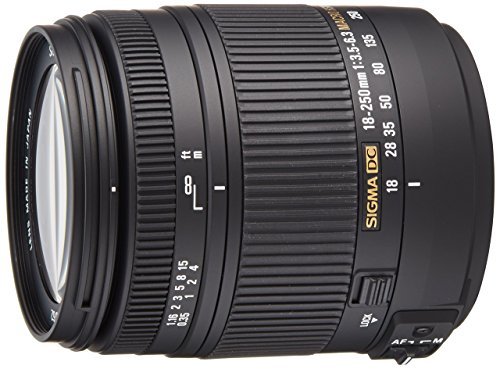 Best Telephoto Lens For Nikon D5200