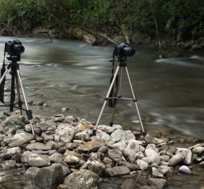 Best Tripods for DSLR in India 3