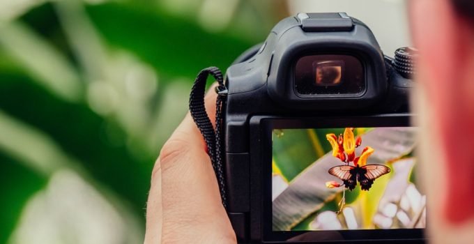 Aspects of Photography: 7 Most Important Key Elements 4