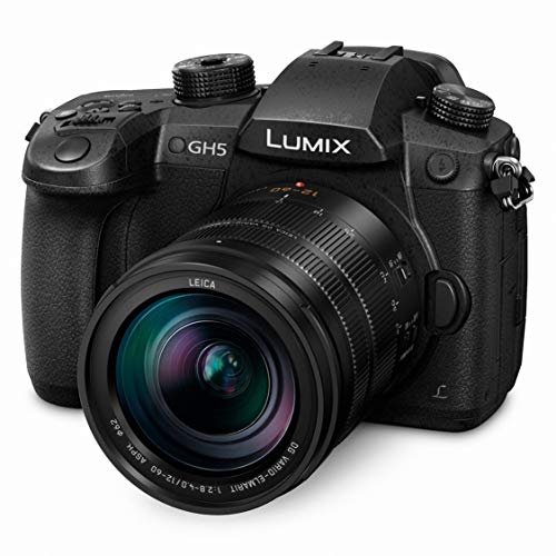 Best Weather-Sealed Panasonic Mirrorless Camera